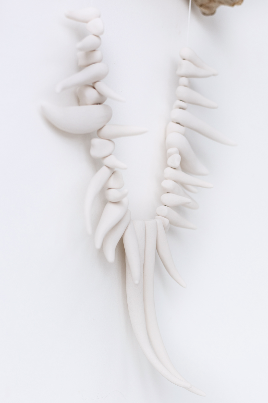 FANGLE+TOOTH_5.jpg