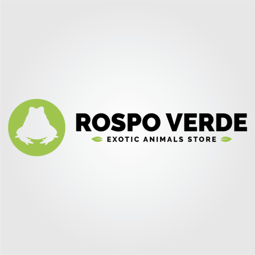 Progettazione logo design