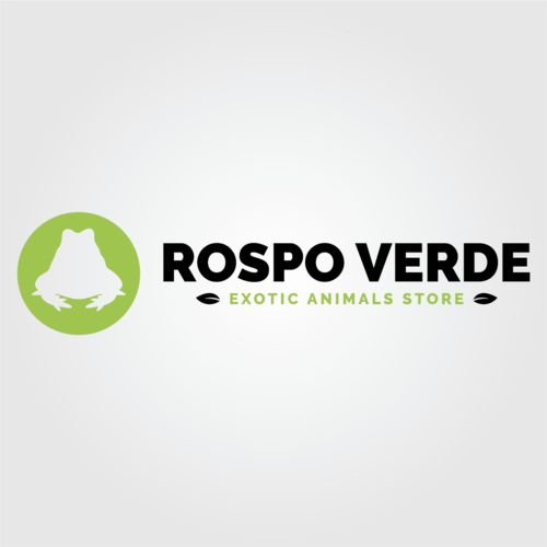 Progettazione logo design