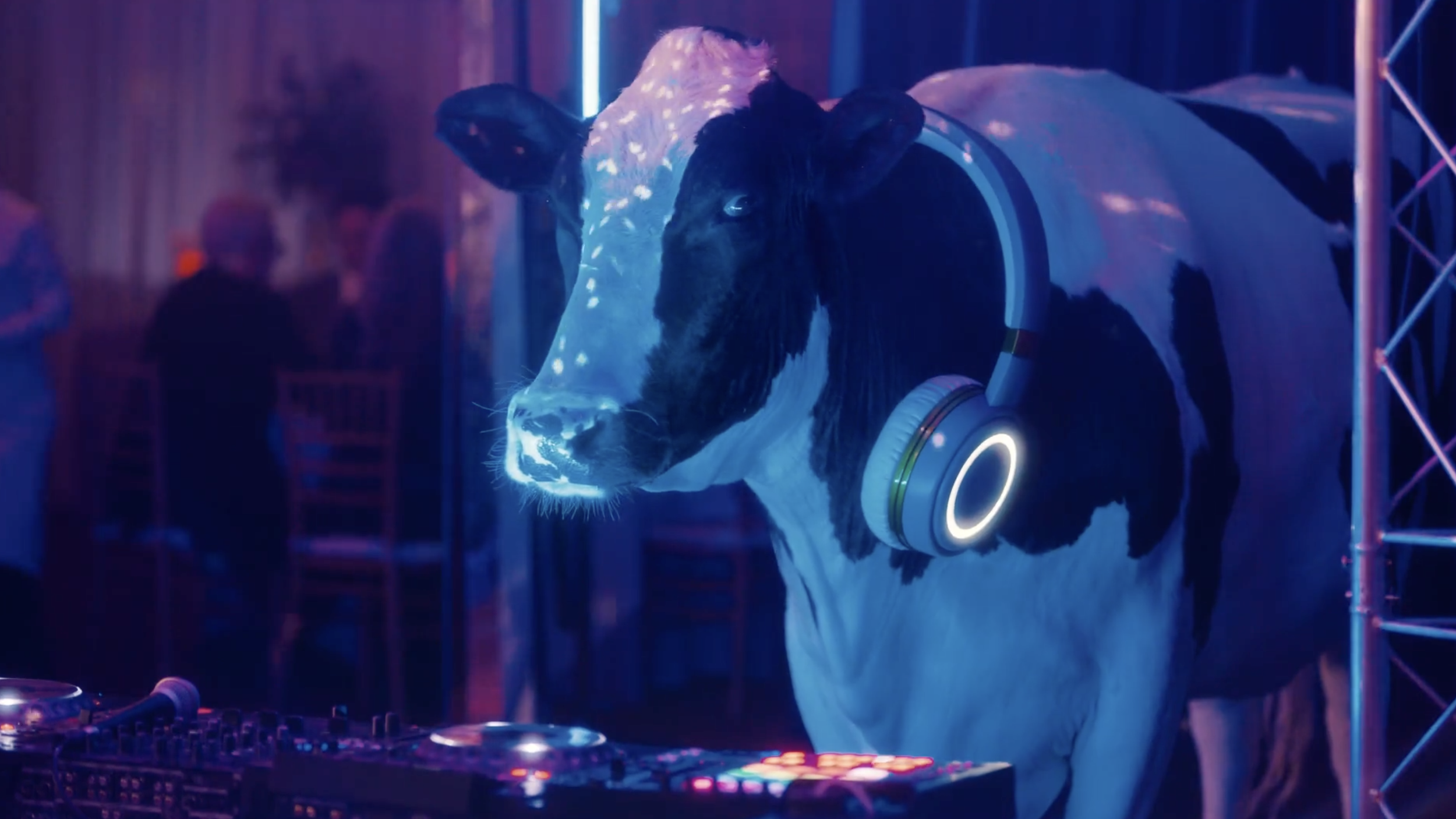 Screenshot 2026-02-03 at 11.06.10 AM.png