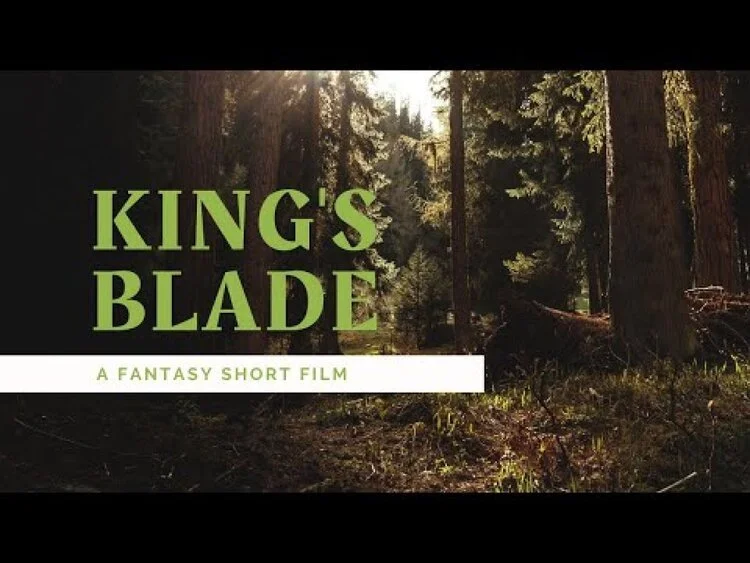 KING'S BLADE GoFundMe and Live Stream