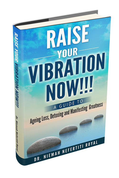 small_Raise Your Vibration 3D Book Dr. Niemah Nefertiti-Royal.png