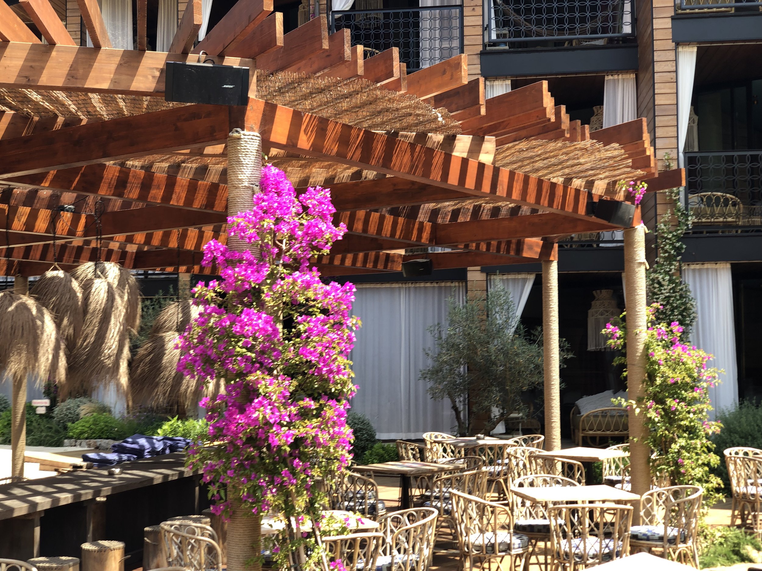 Travel trend bingo at Bikini Mountain Hotel Port de Sóller