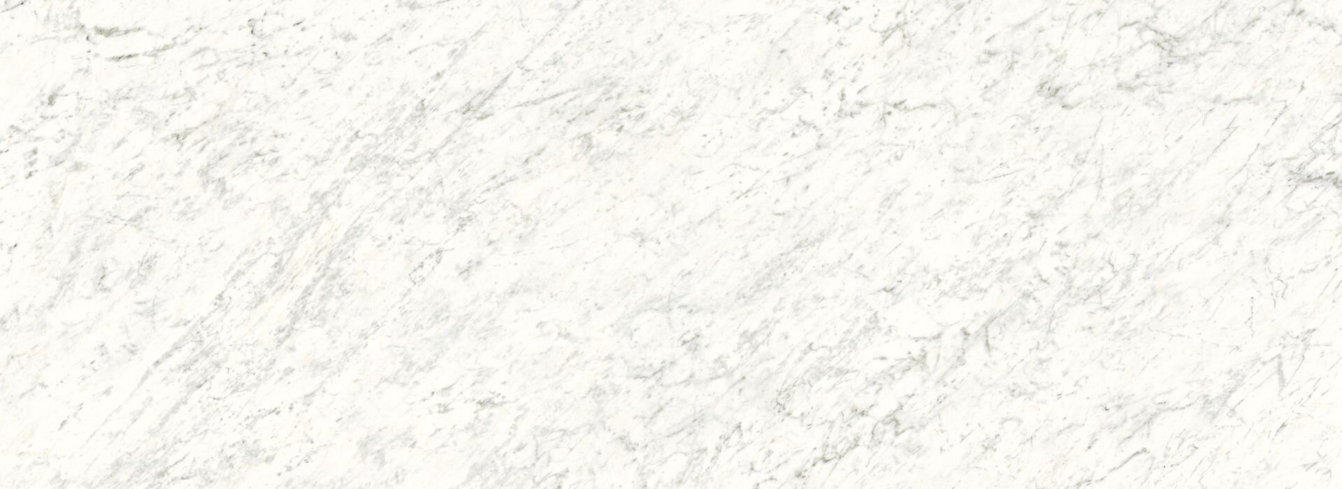 PS BIANCO CARREREA.jpg