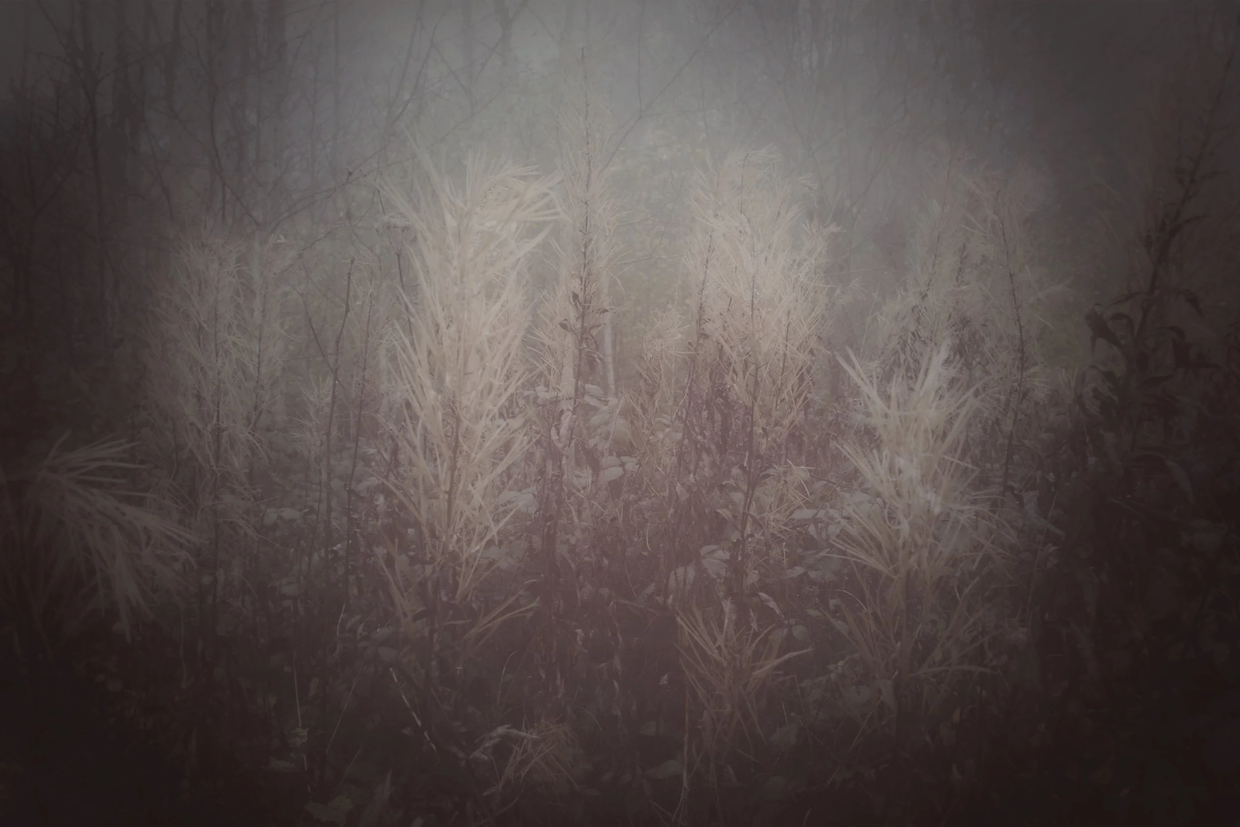 FullSizeRender (10).jpg