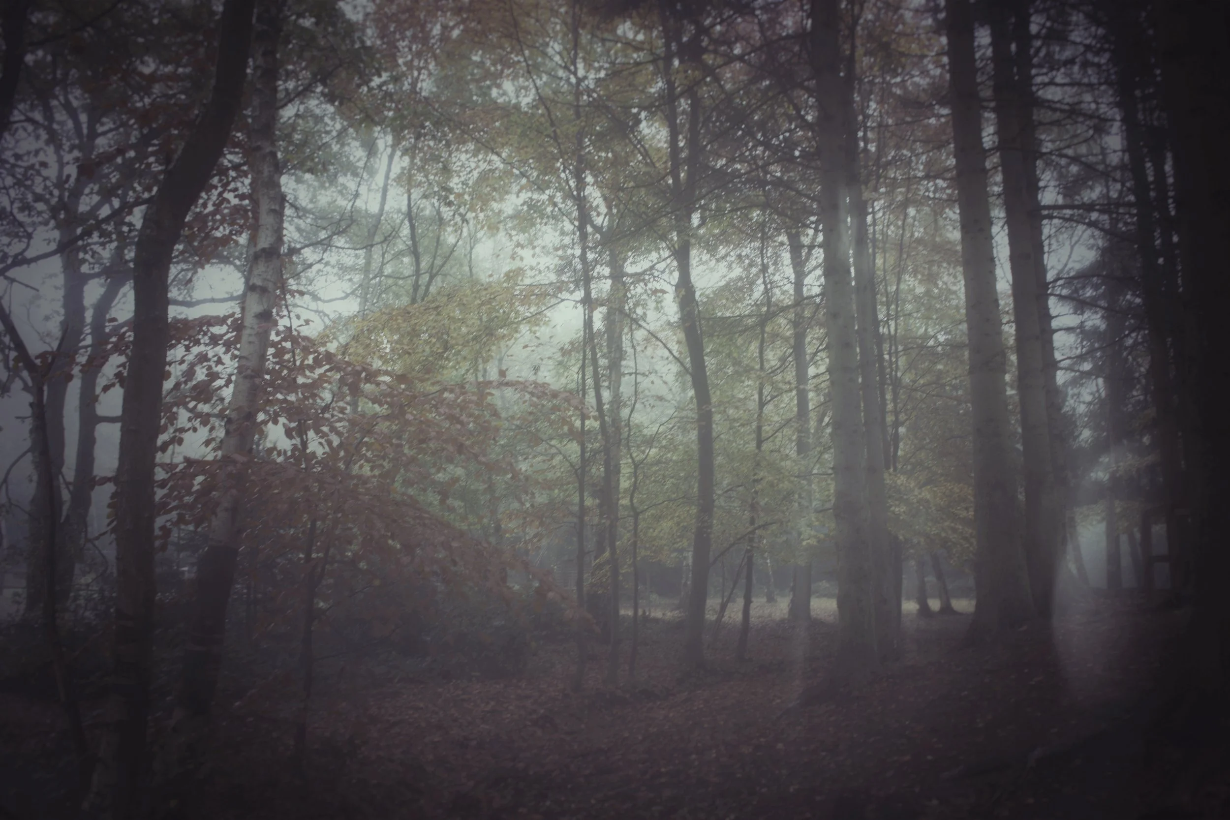 FullSizeRender (6).jpg