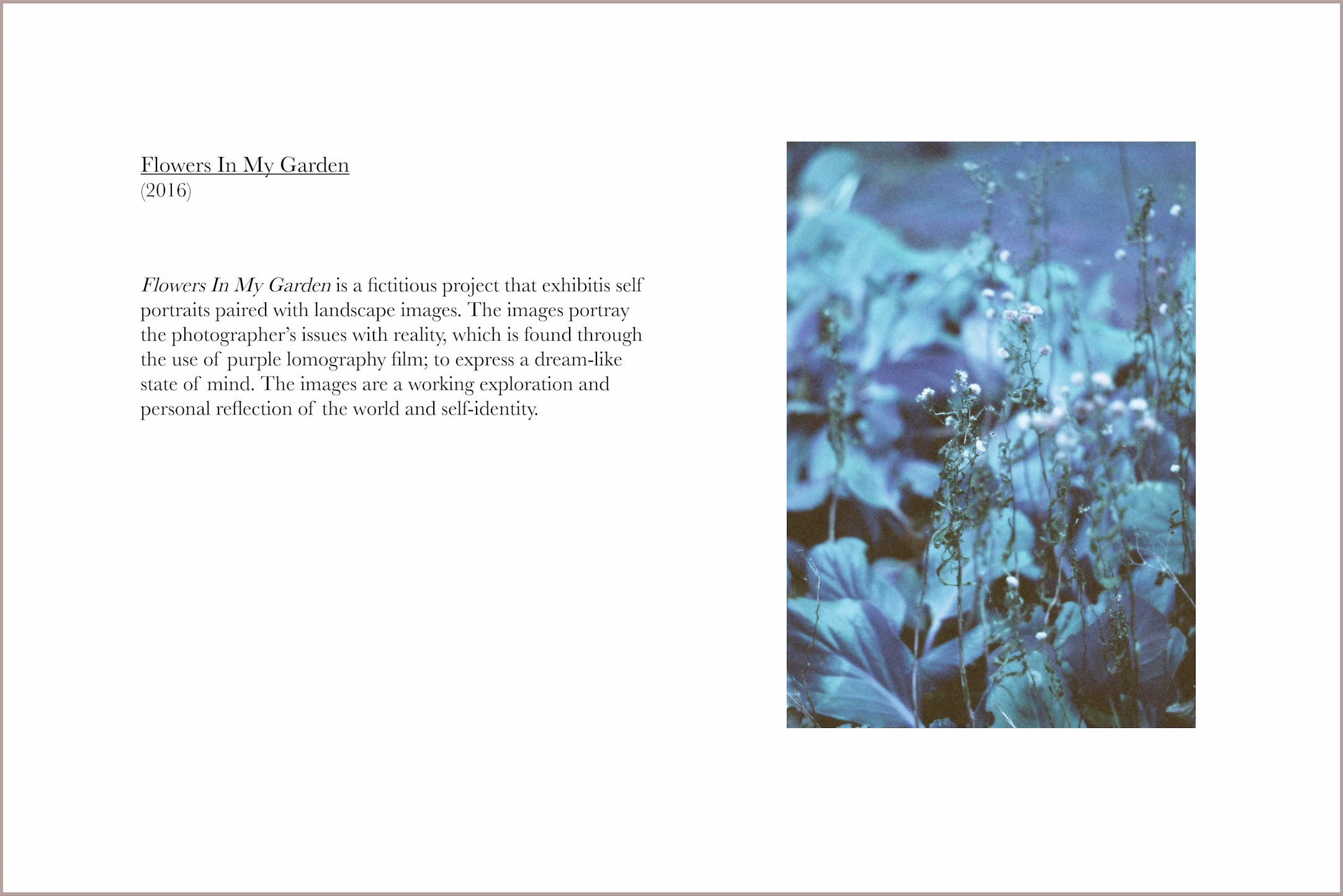 Screen Shot 2018-05-06 at 10.12.25 AM.png