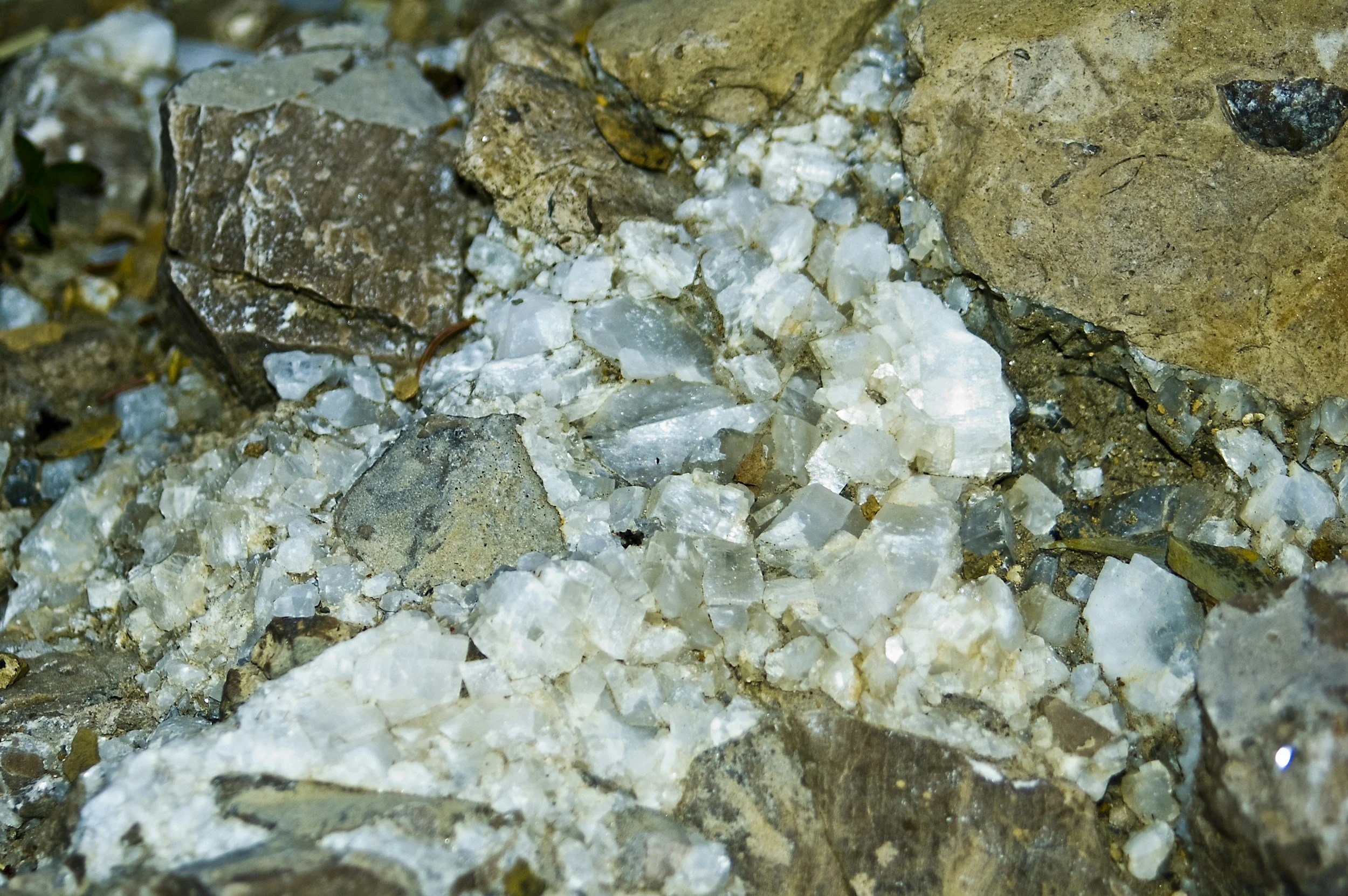 Close-up of rocks and white crystalline minerals on the ground.