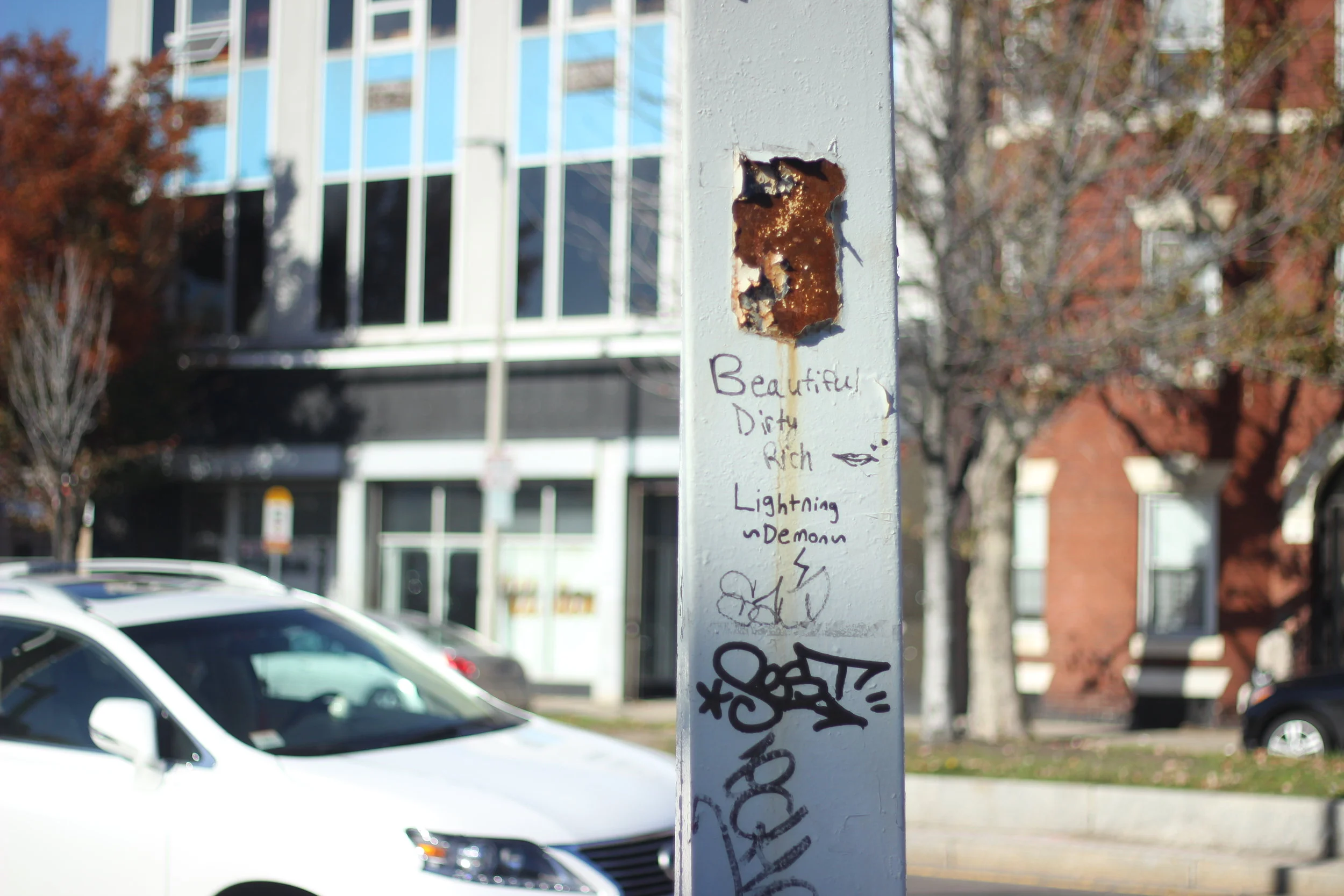 The poetic markings of a stranger on a light post.