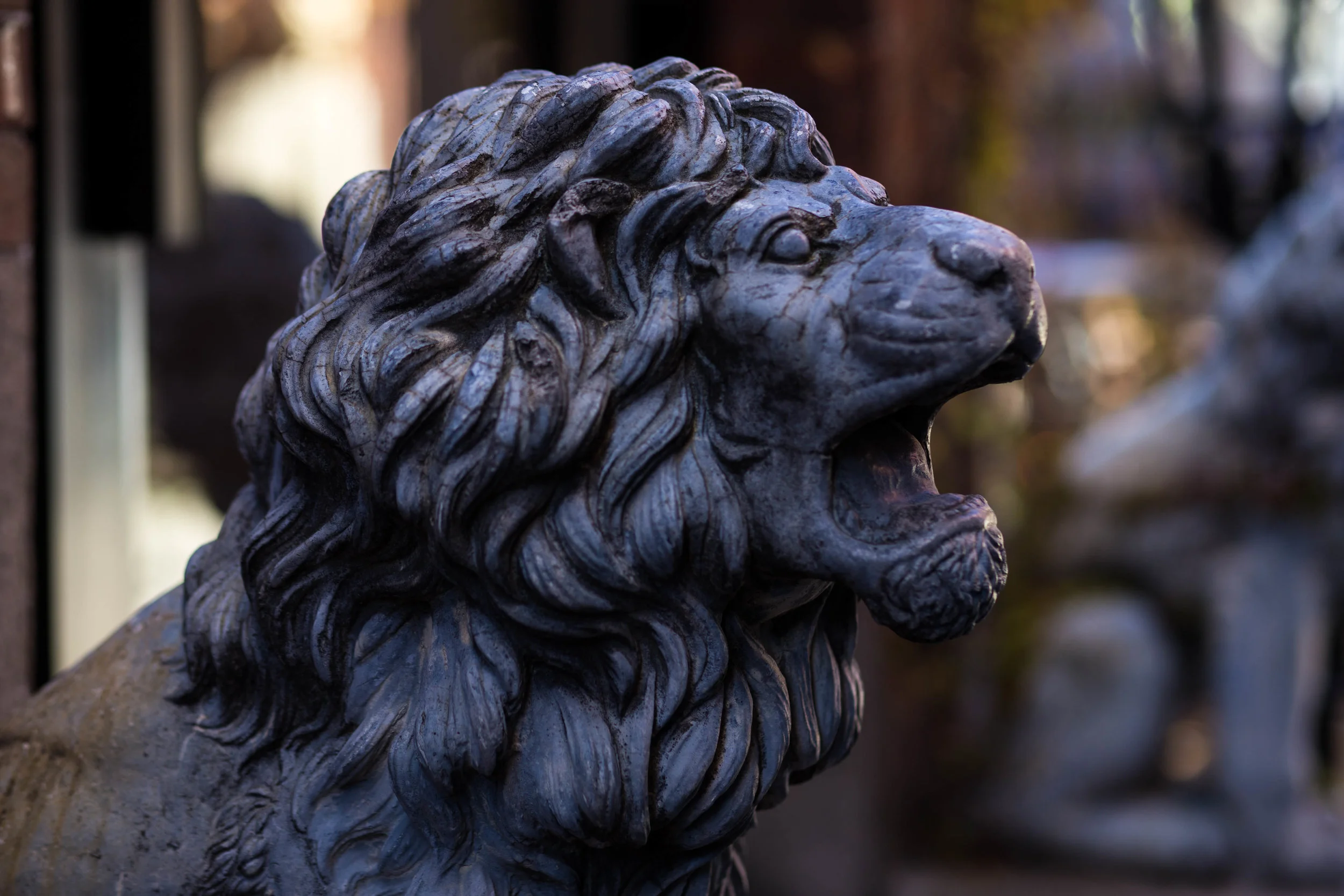 Heart of a Lion