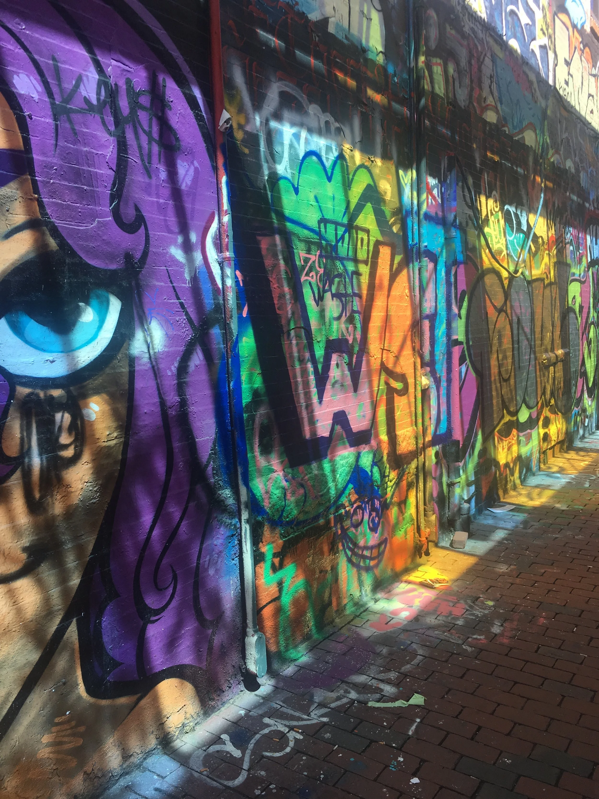  &nbsp;Graffiti Alley on April 14th 2017.  Photo by Deanna Drennen &nbsp; 