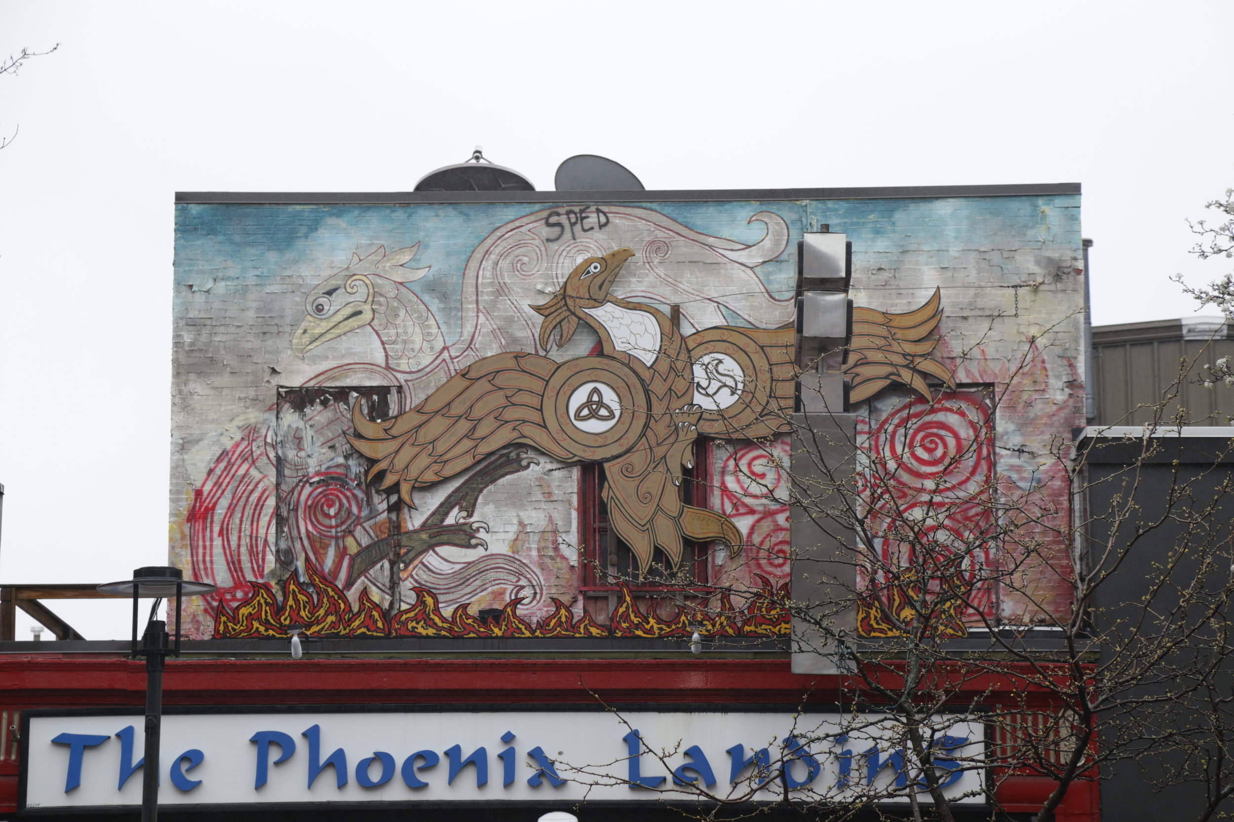  The Phenix Landins.&nbsp;  Photo by Jed Xu&nbsp; 