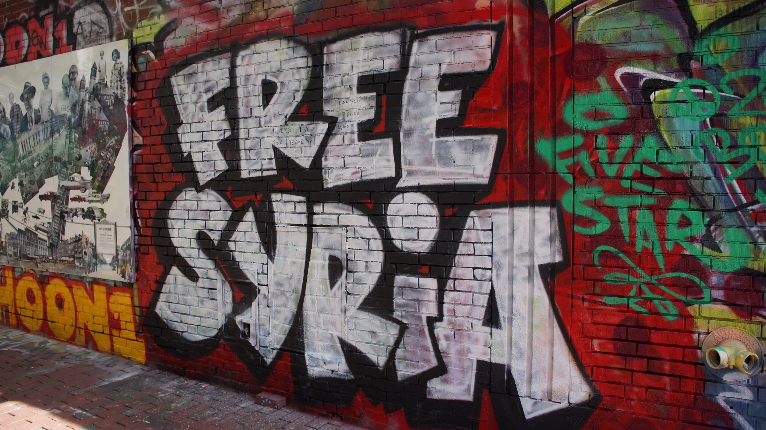  Graffiti Alley on April 15th.  Photo by Quinn Madden&nbsp; 