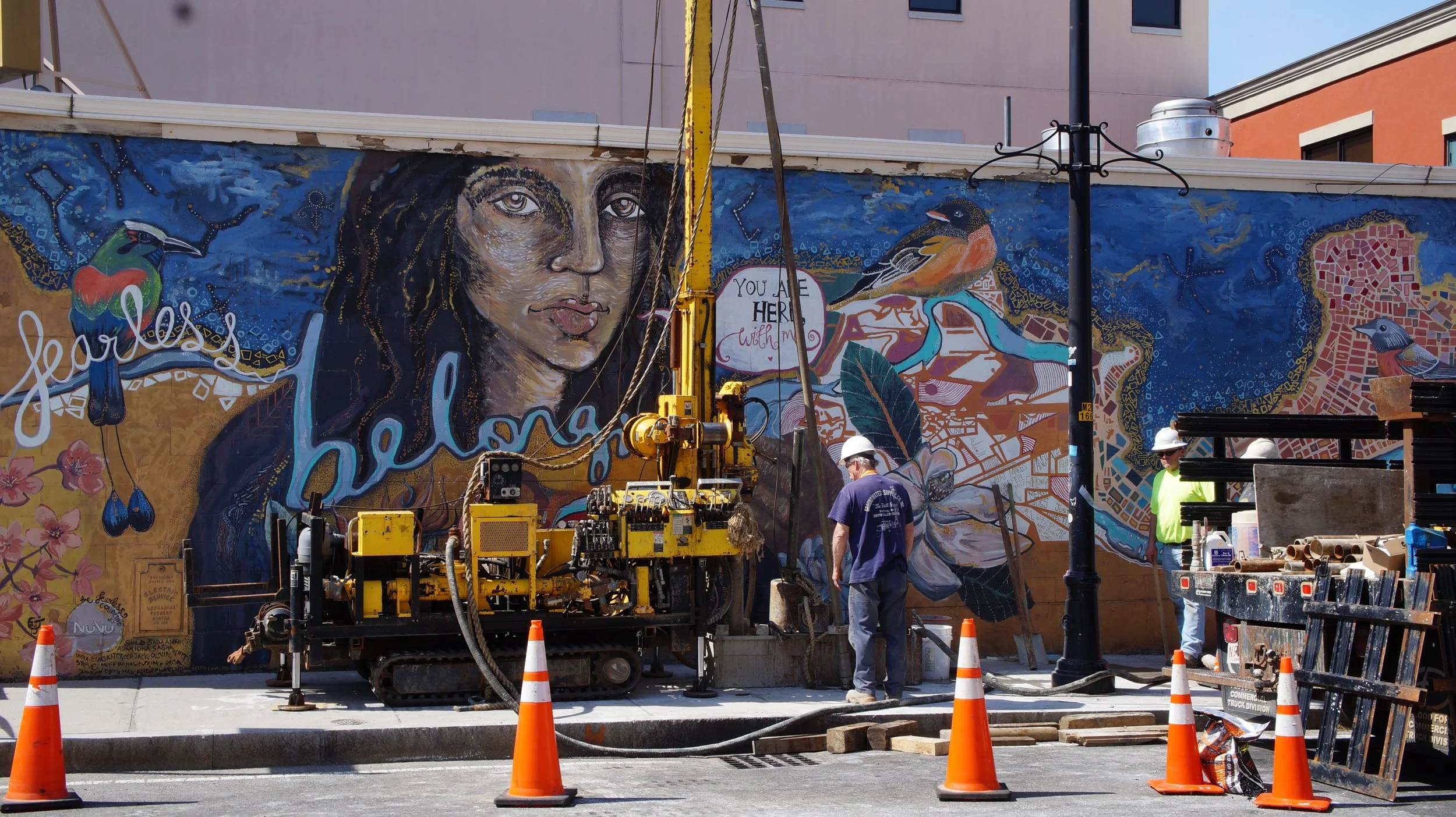  Belonging by Students from the NuVu Studio and contemporary artist Shilo Suleman. Located on the the side of Desi Dhaba on Columbia Street.  Photo by Quinn Madden &nbsp; 