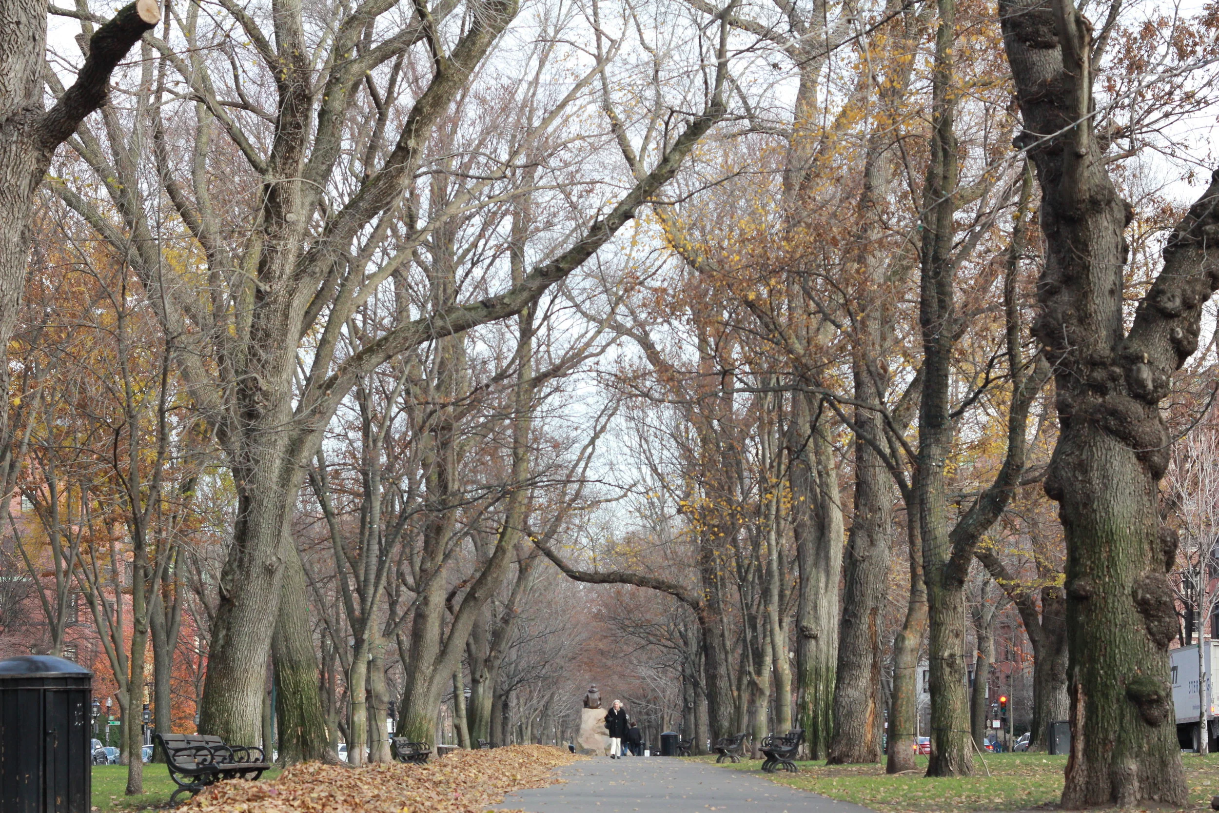 Commonwealth Mall
