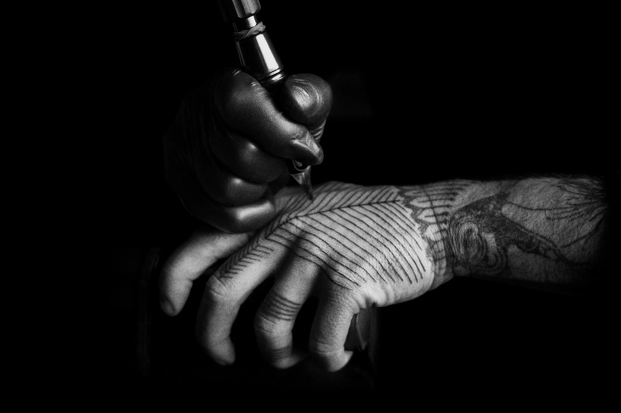 Modify Curves Layer.2pg.jpg