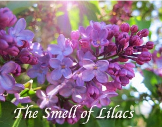 The Smell of Lilacs. What if ...