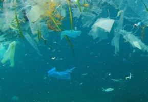 Plastics in Clothing - Our impact on nature