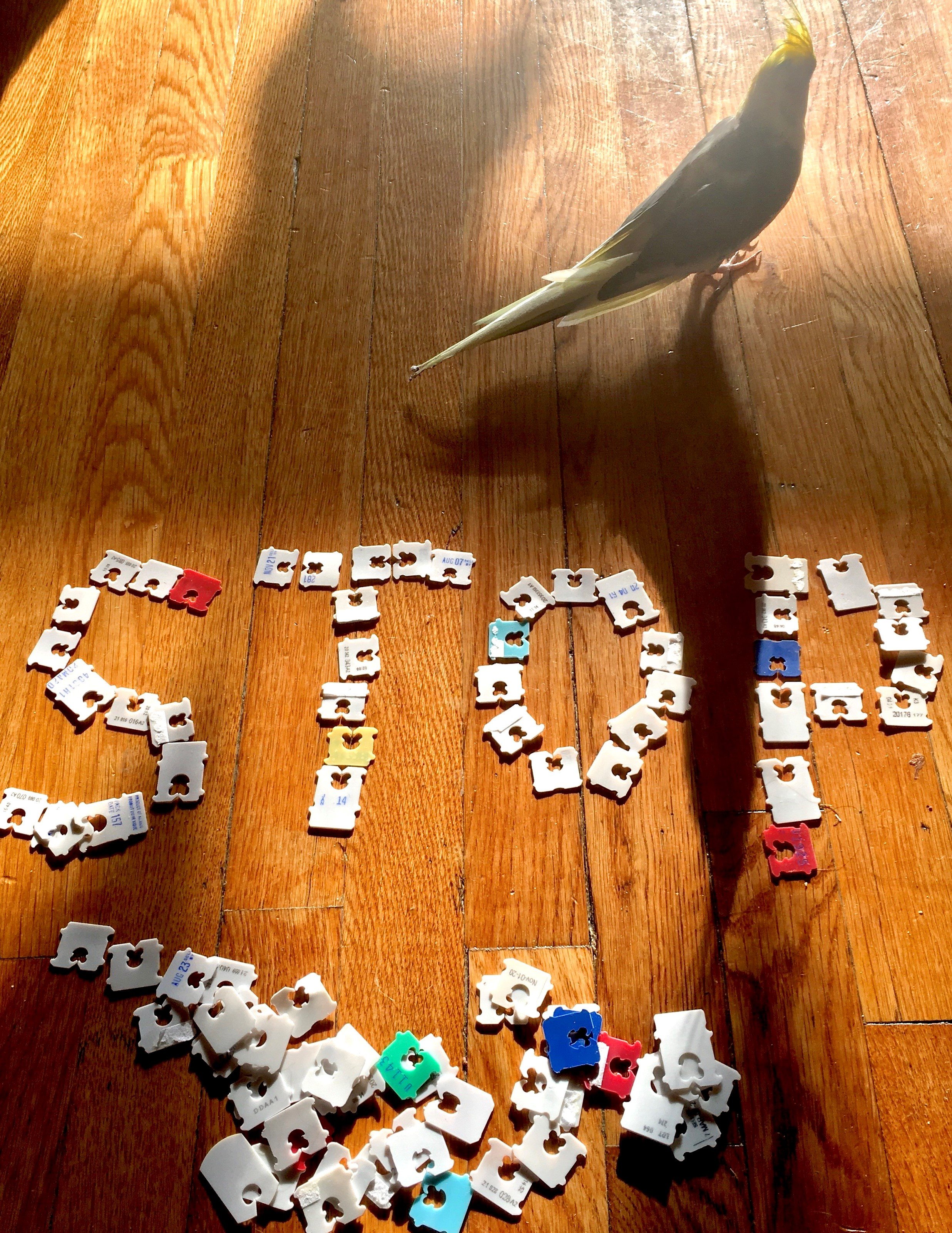 Make every day Earth Day!