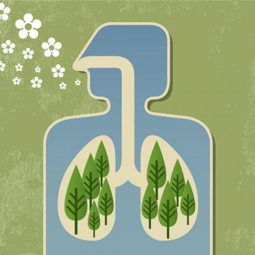 The Power of Urban Greening in Combating Air Pollution Meristem Design