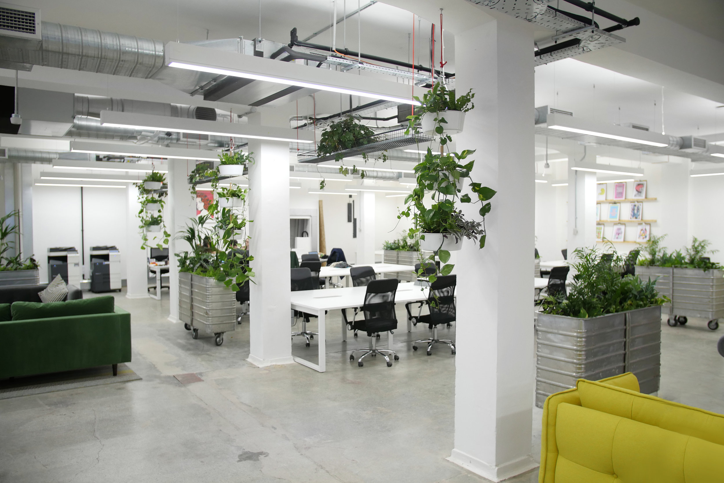Forever Beta S Green Offices Meristem Design