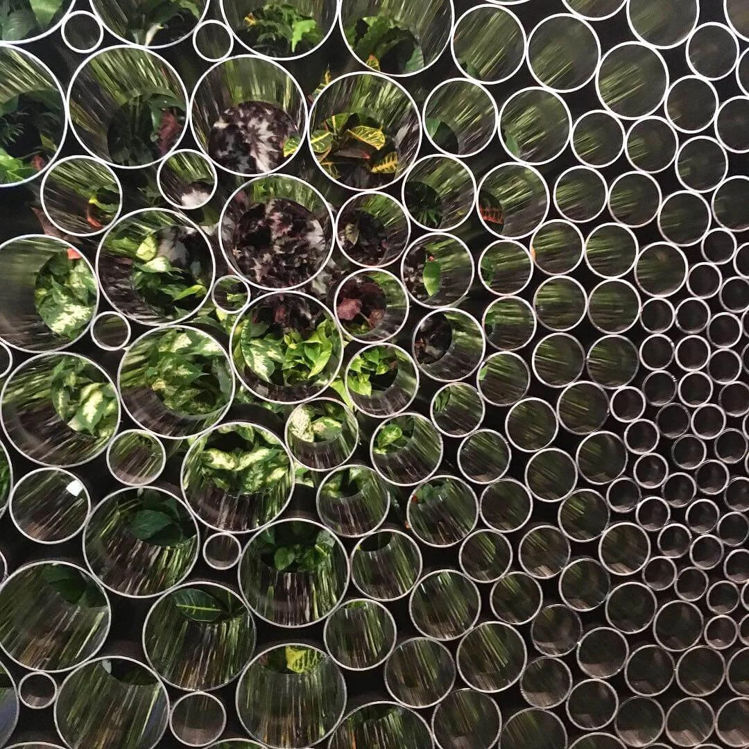 Meristem's Living Wall at New York's Premier Design Show Meristem Design