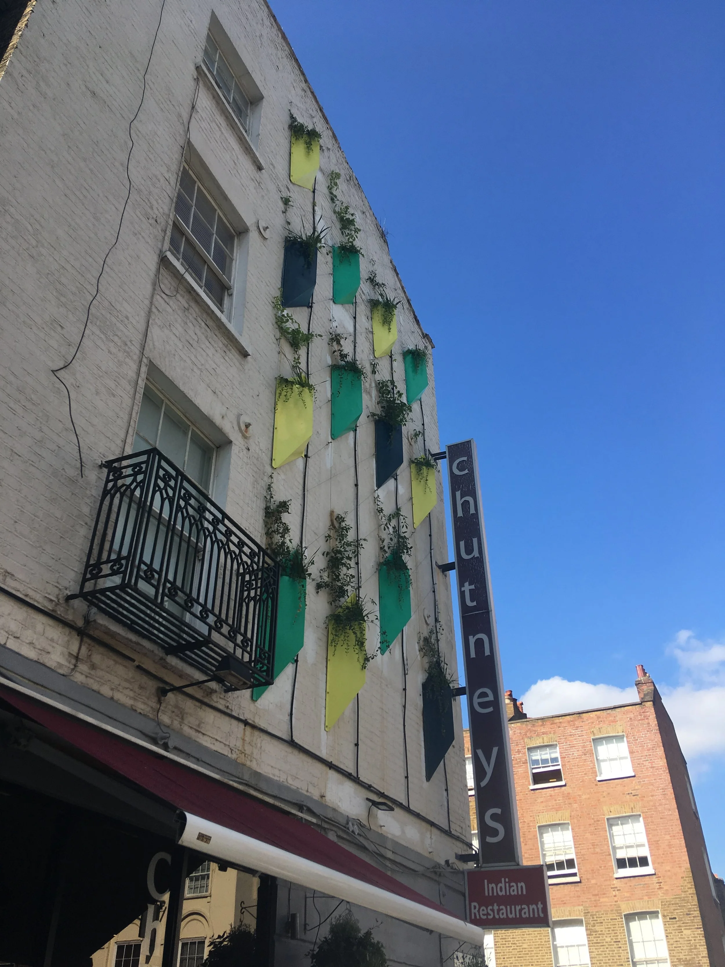 Meristem Design Planters with Trellis Euston London