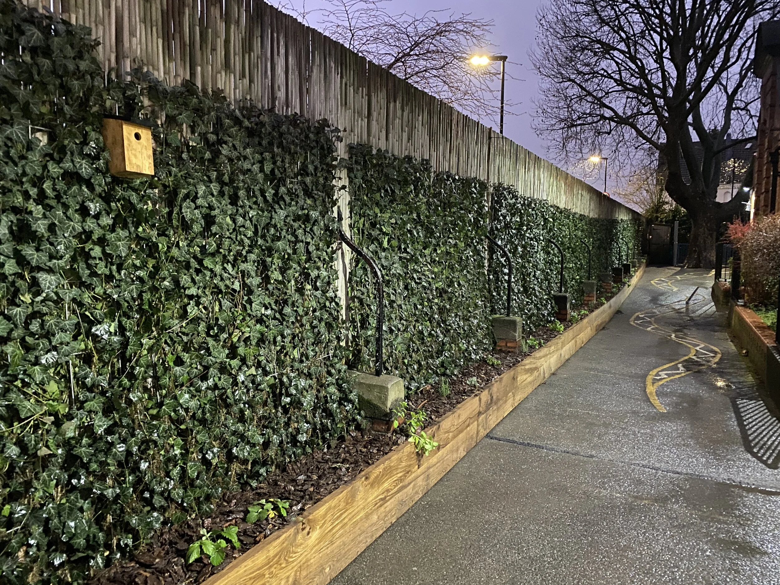 Channel 4 Dispatches school finally gets permanent green screens to combat poor air quality