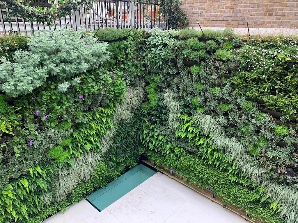 Meristem Design Sustainable Living Walls & Modular Green Wall Systems