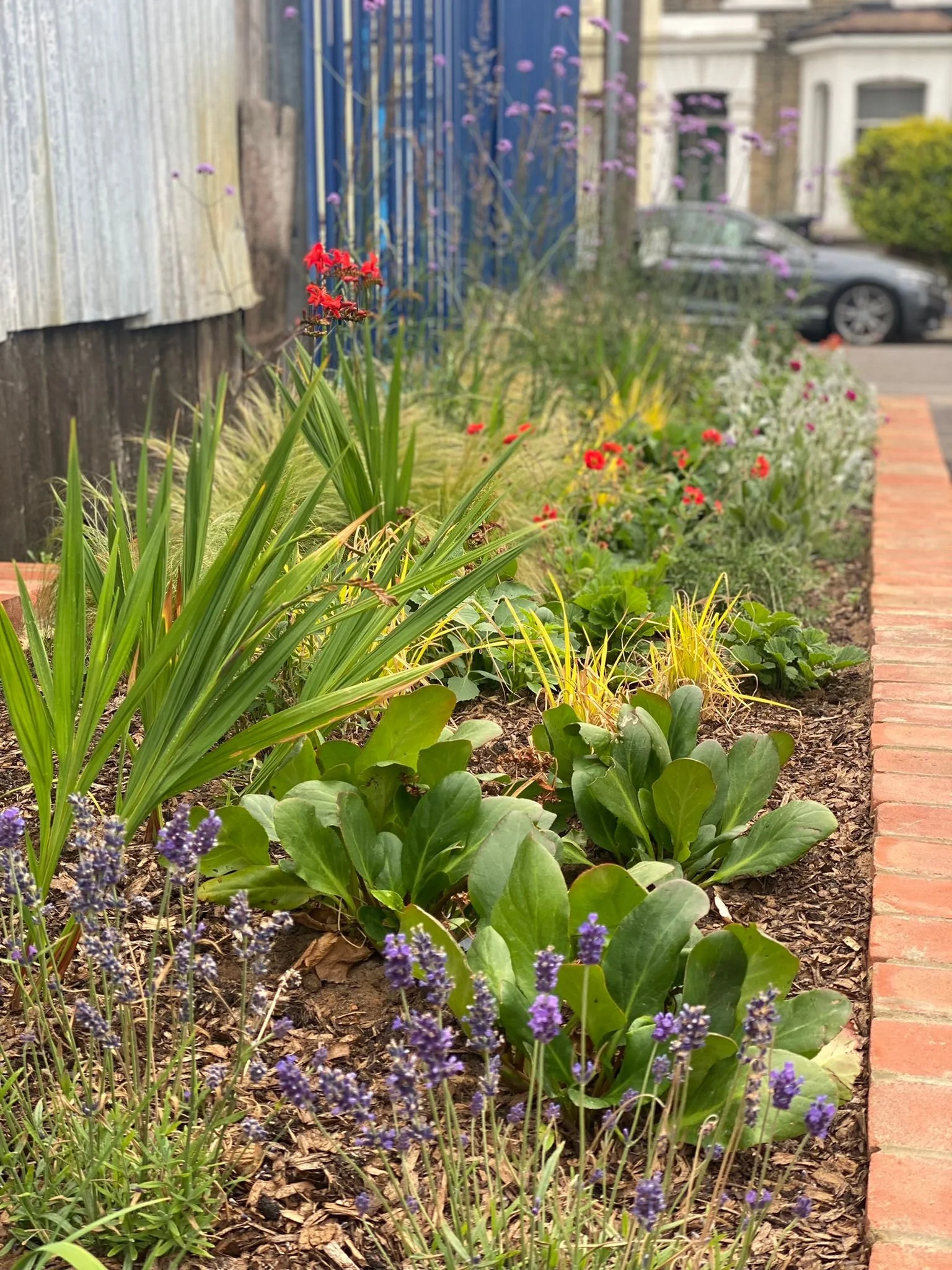 Meristem Design SuDS and Rain Gardens to prevent fooding in London