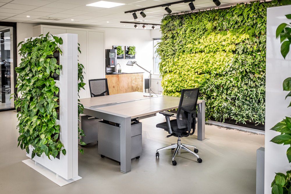 Living Wall and Plant Divider in an Office