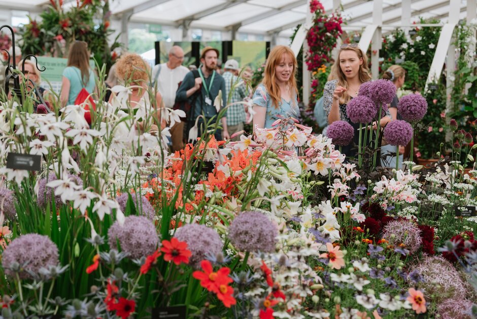 Hampton Court Palace Visitors-pictured-in-the-floral-marquee.jpeg
