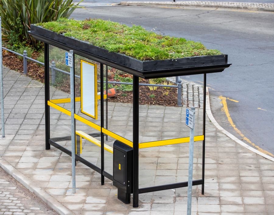 ‘Bee Bus Stops’ with living roofs in Liverpool
