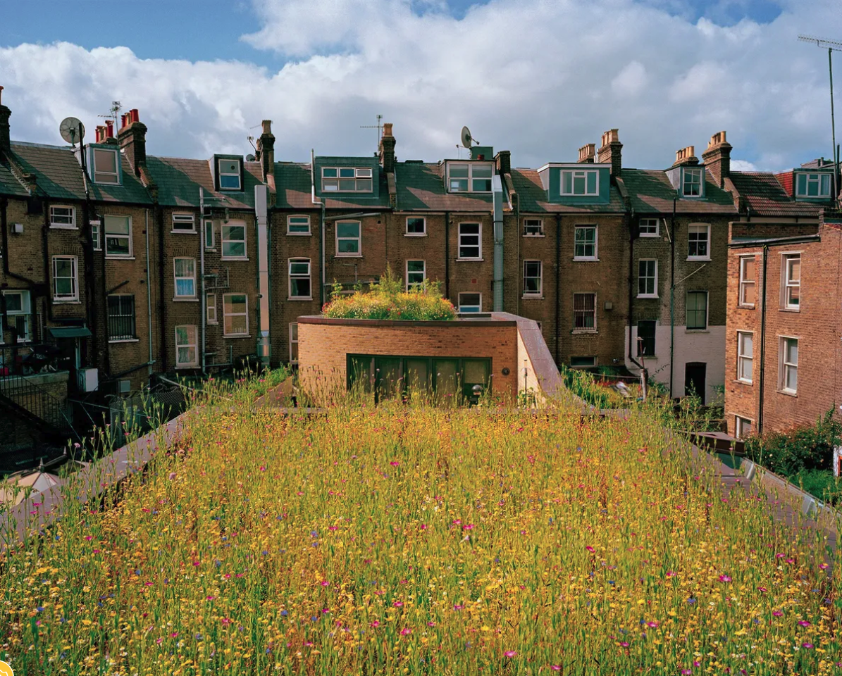 Green Roof in London by Justin Bere©