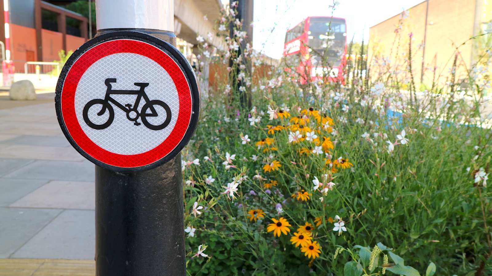 Royal Docks Rain Gardens 