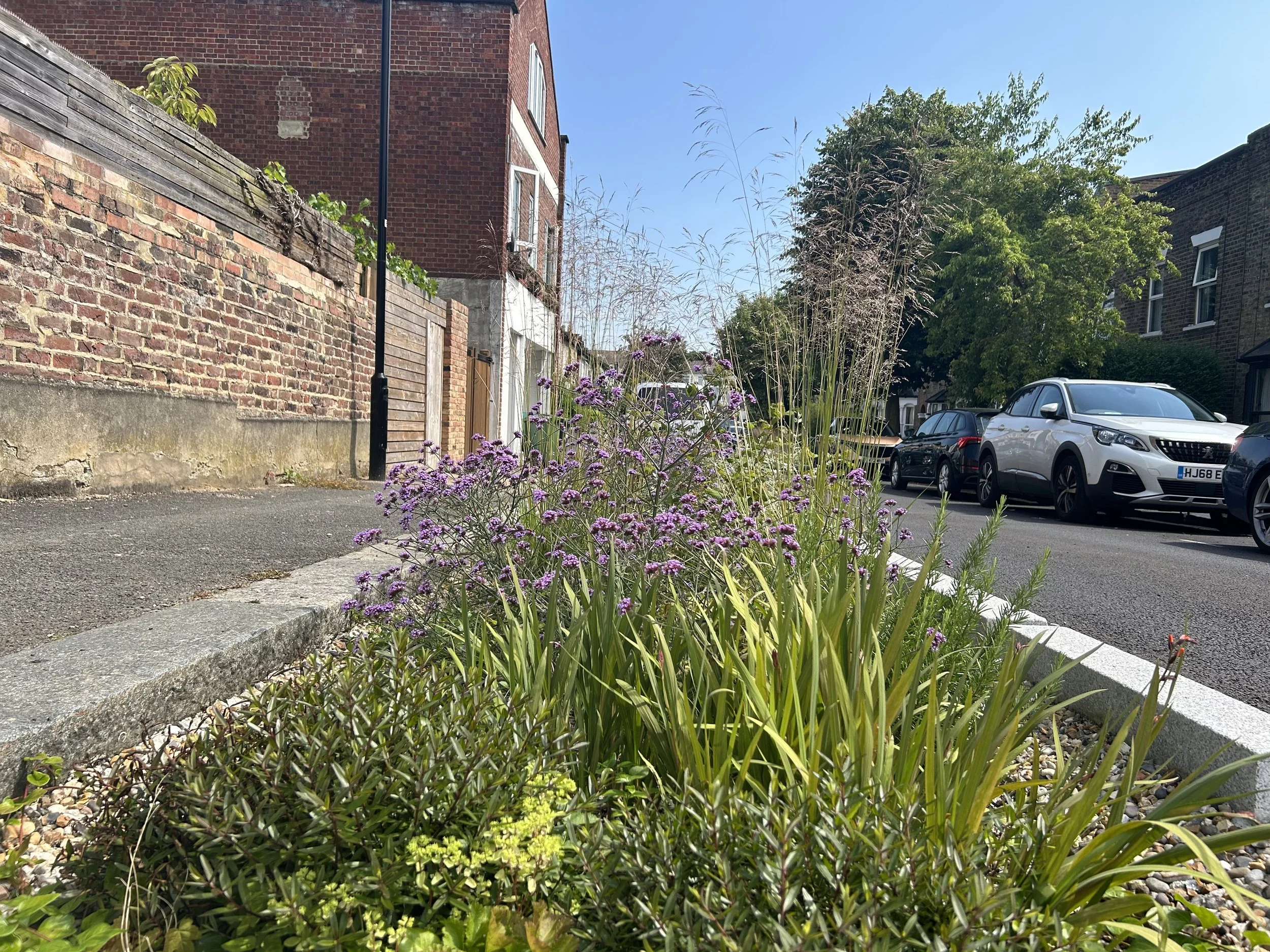 Esther Road