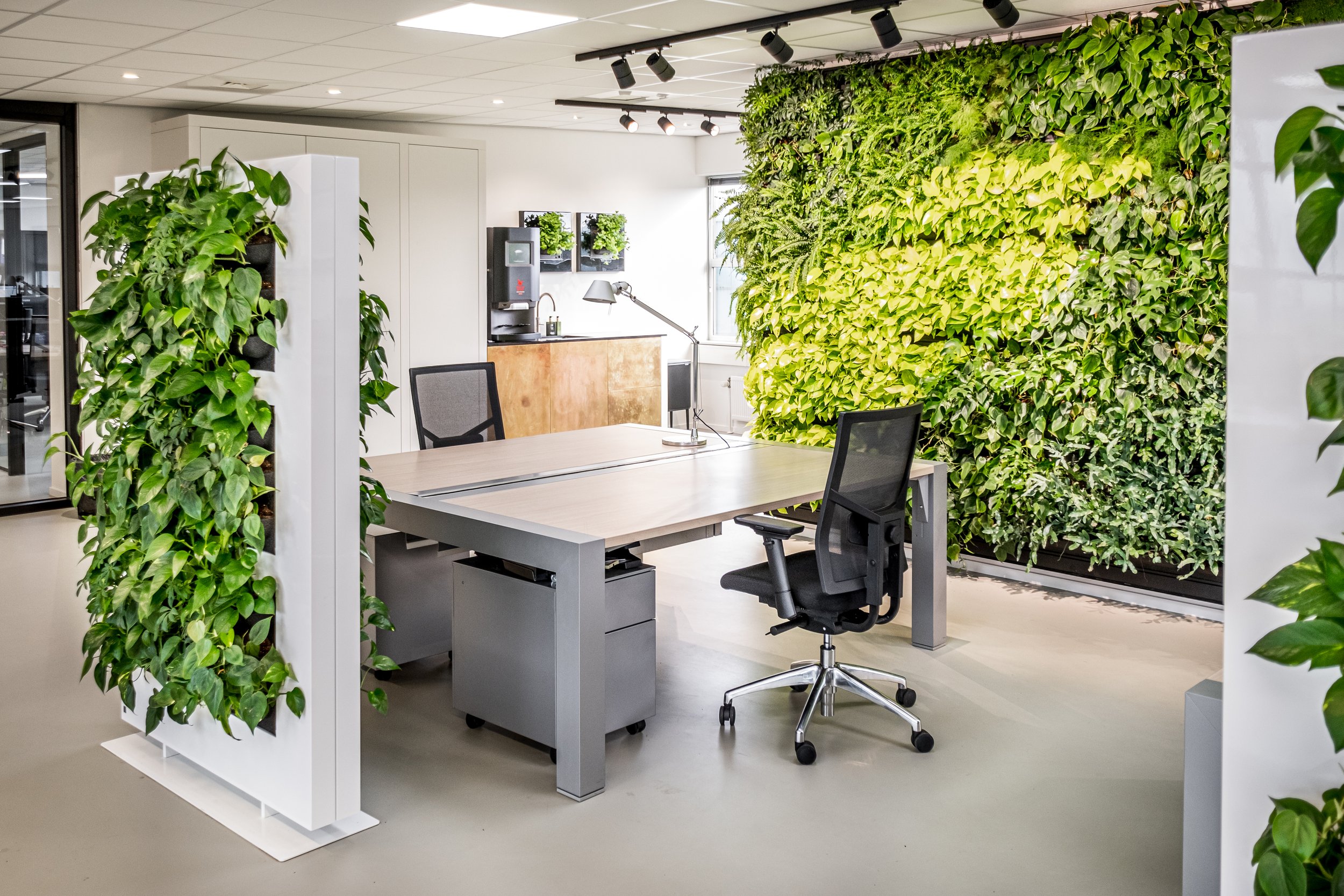 41 Green office ideas | green office, office design, office interiors