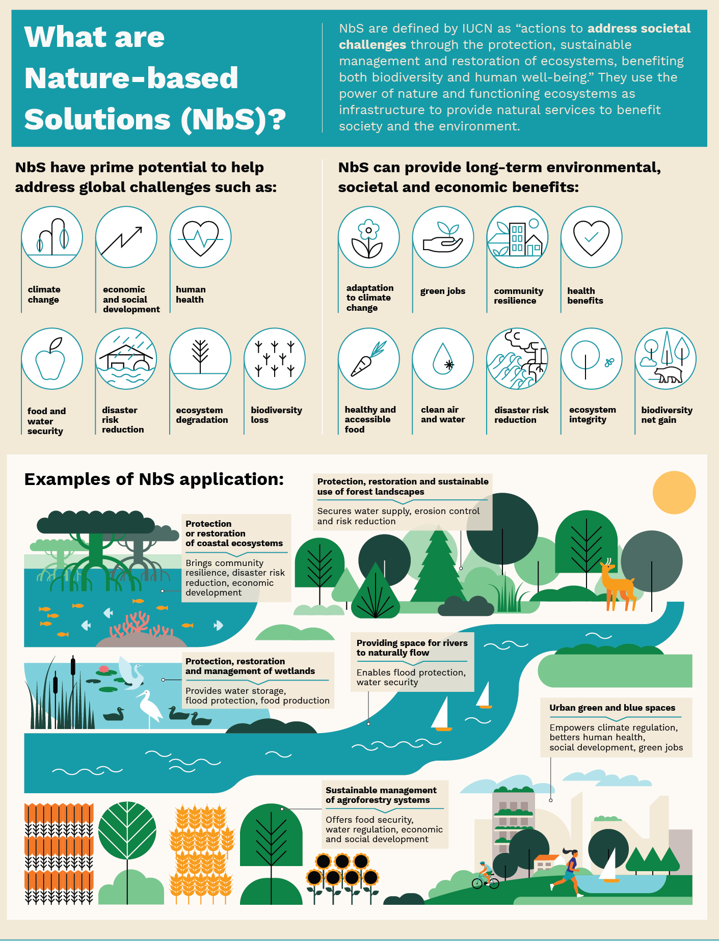 The Power of NatureBased Solutions in Building Climate Resilient