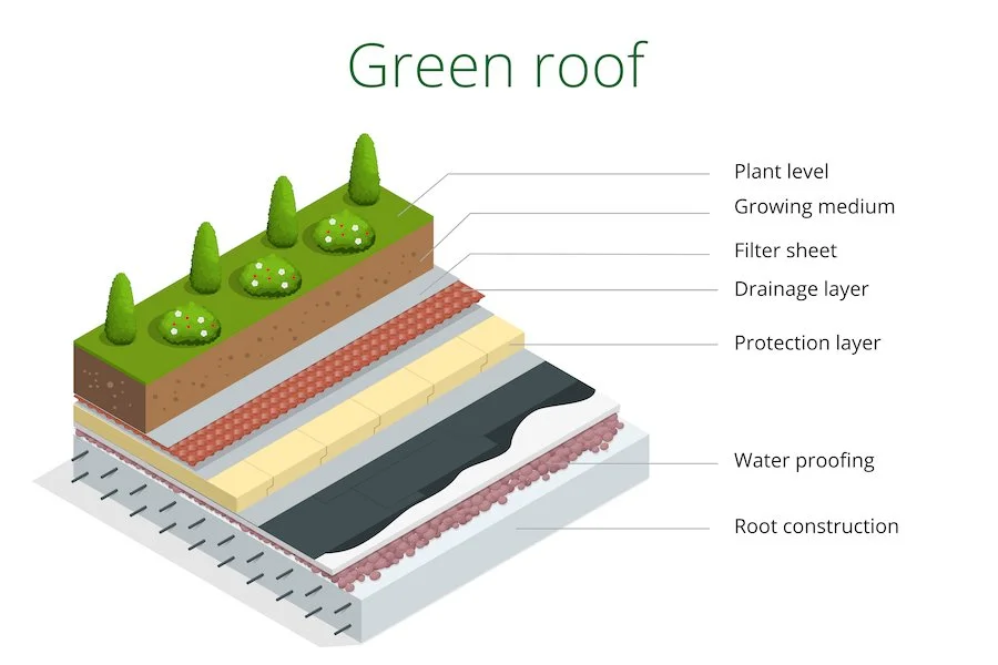 Why you should invest in a Green Roof Meristem Design