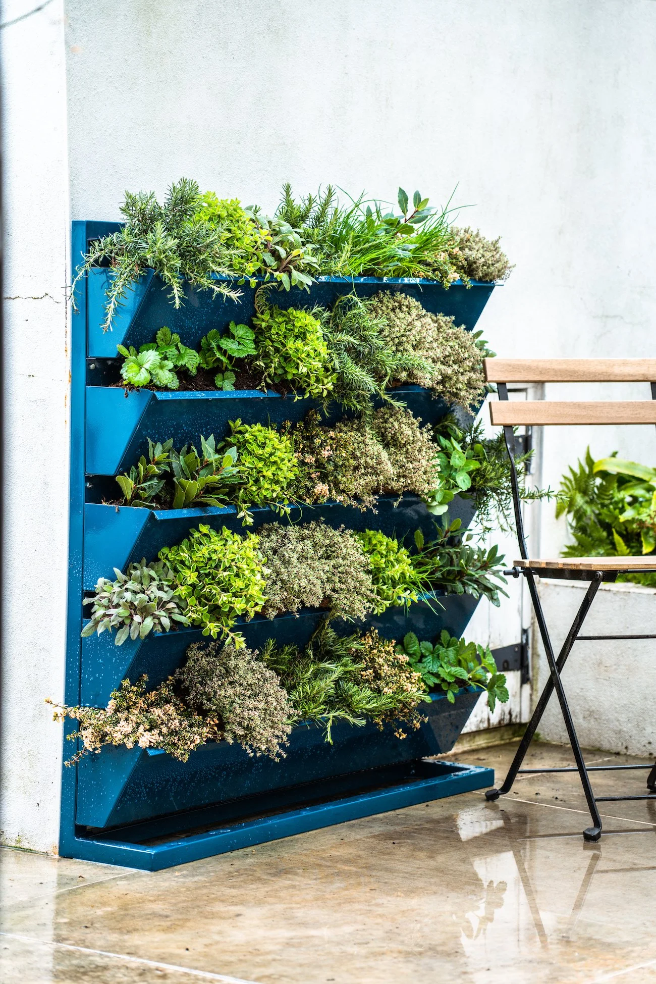 Meristem Design Sustainable Living Walls & Modular Green Wall Systems