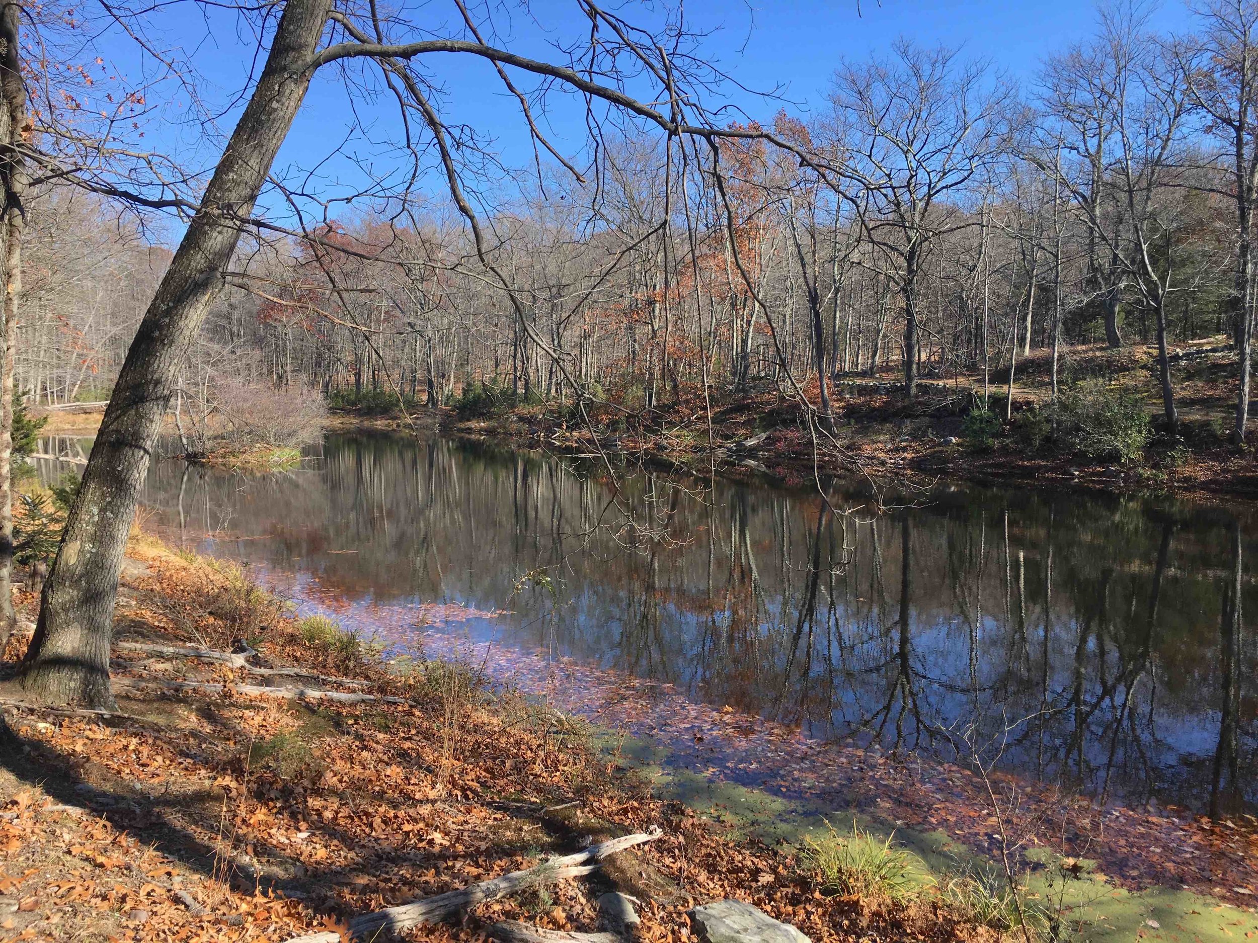 Maple Hill, Blairstown &amp; Hardwick