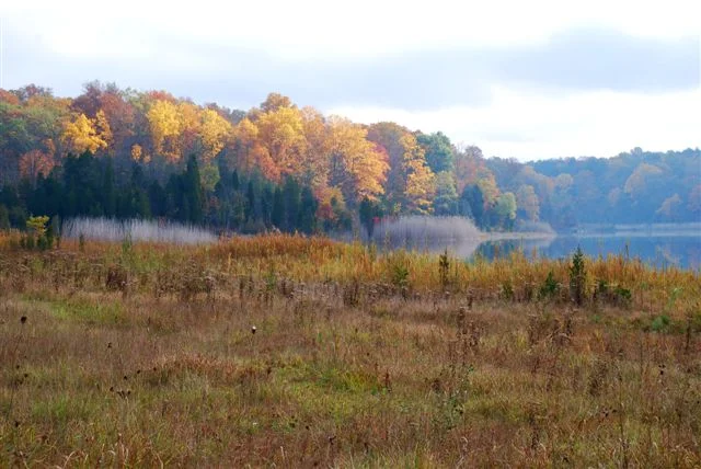 White Lake in the Fall