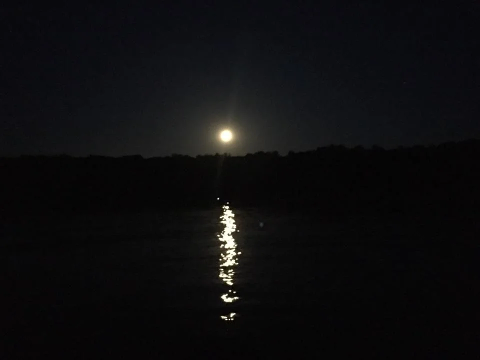 19059710_1474641279267175_5434529700203686924_n.jpg