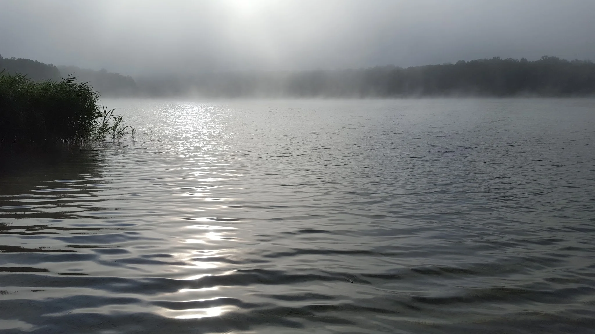 WL Early Morning Mist.jpg