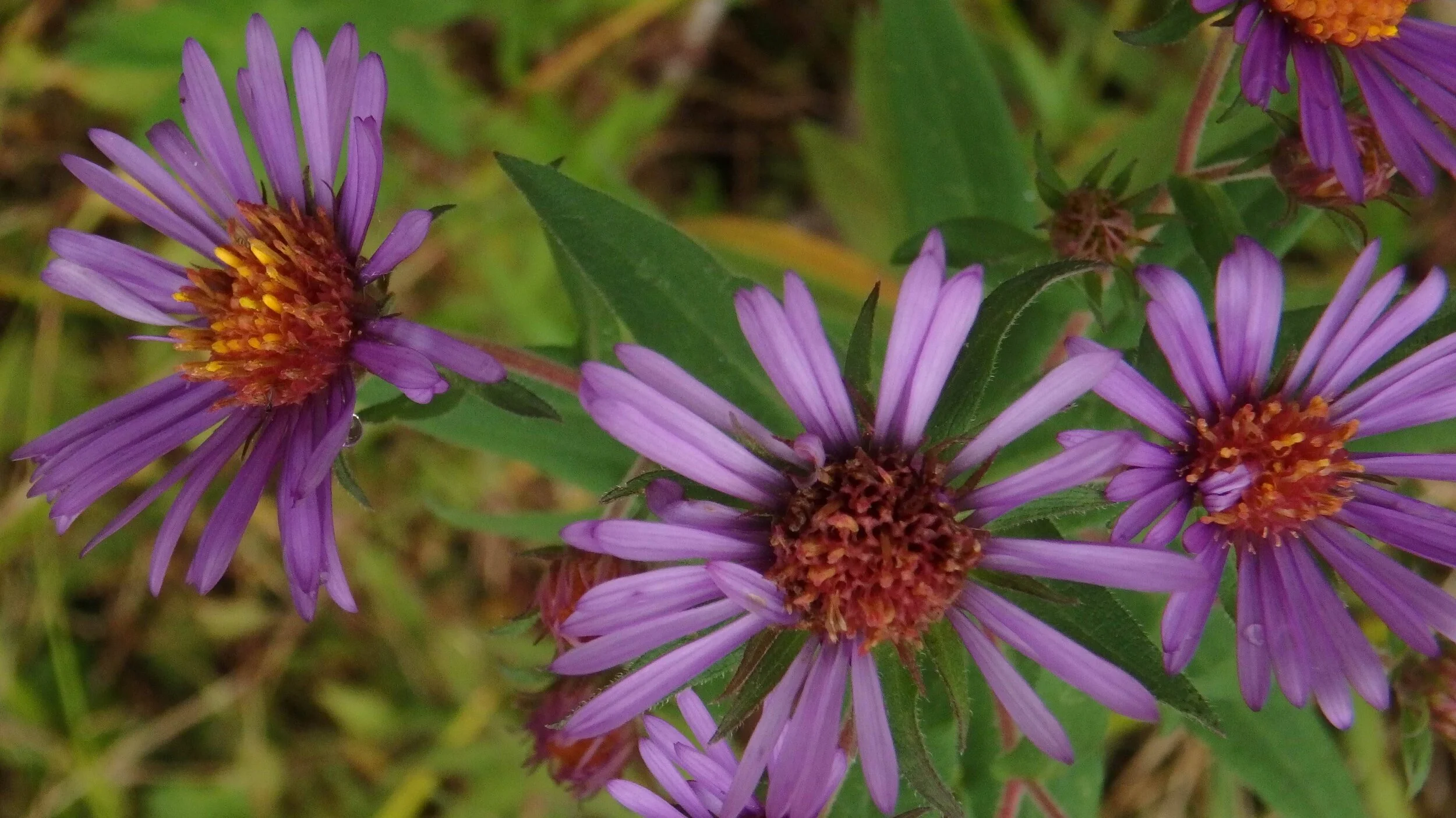 PA010007.JPG
