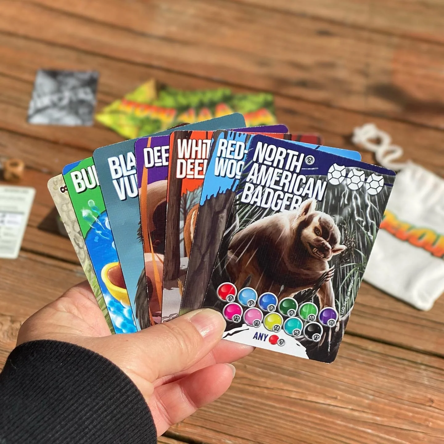 DEVOUR card game: a 'Design for Good' project