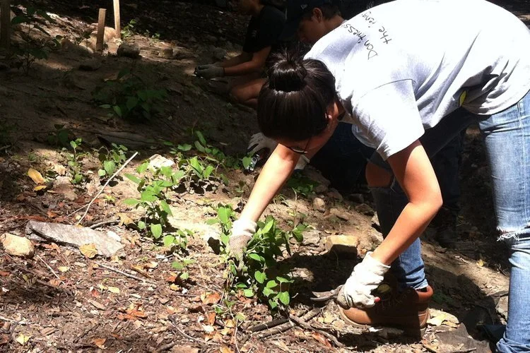 Open Volunteer Day