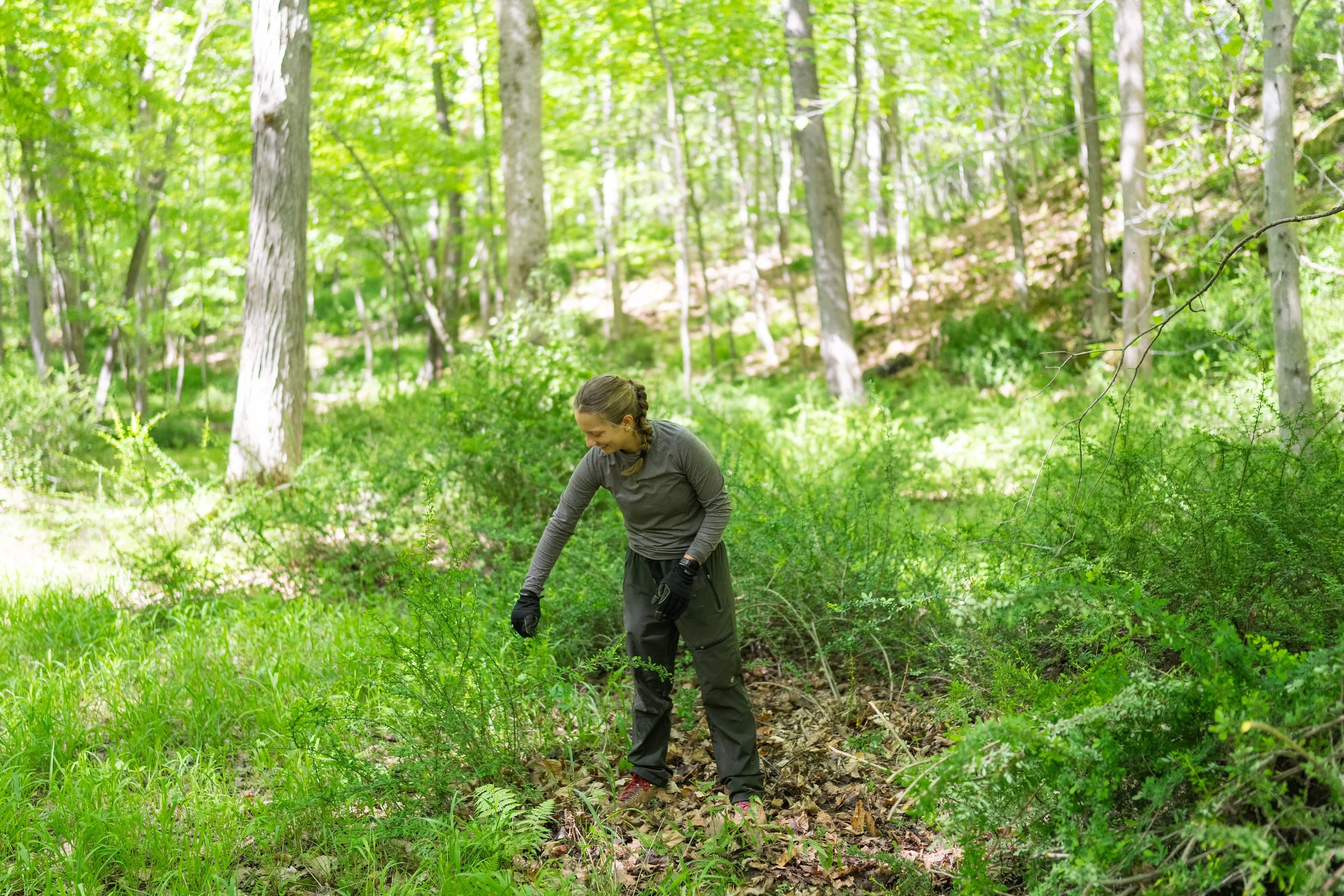 Open Volunteer Day