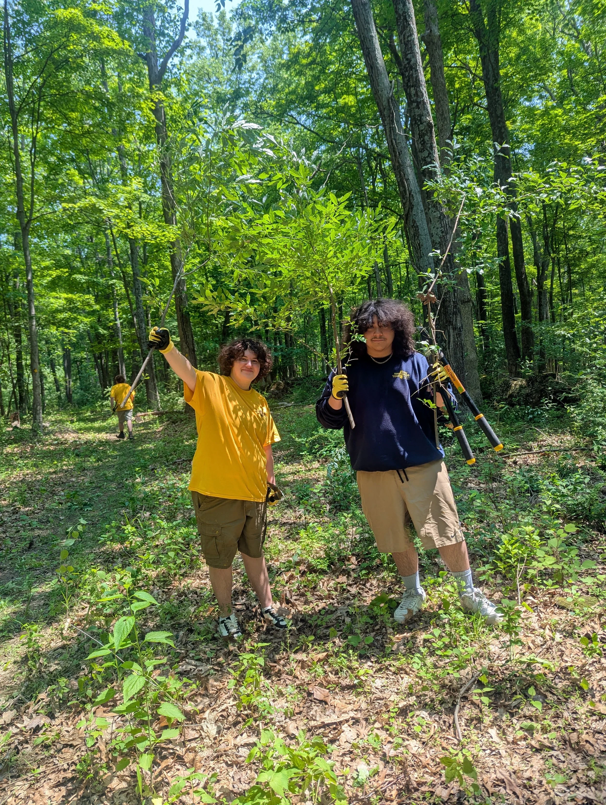 Open Volunteer Day