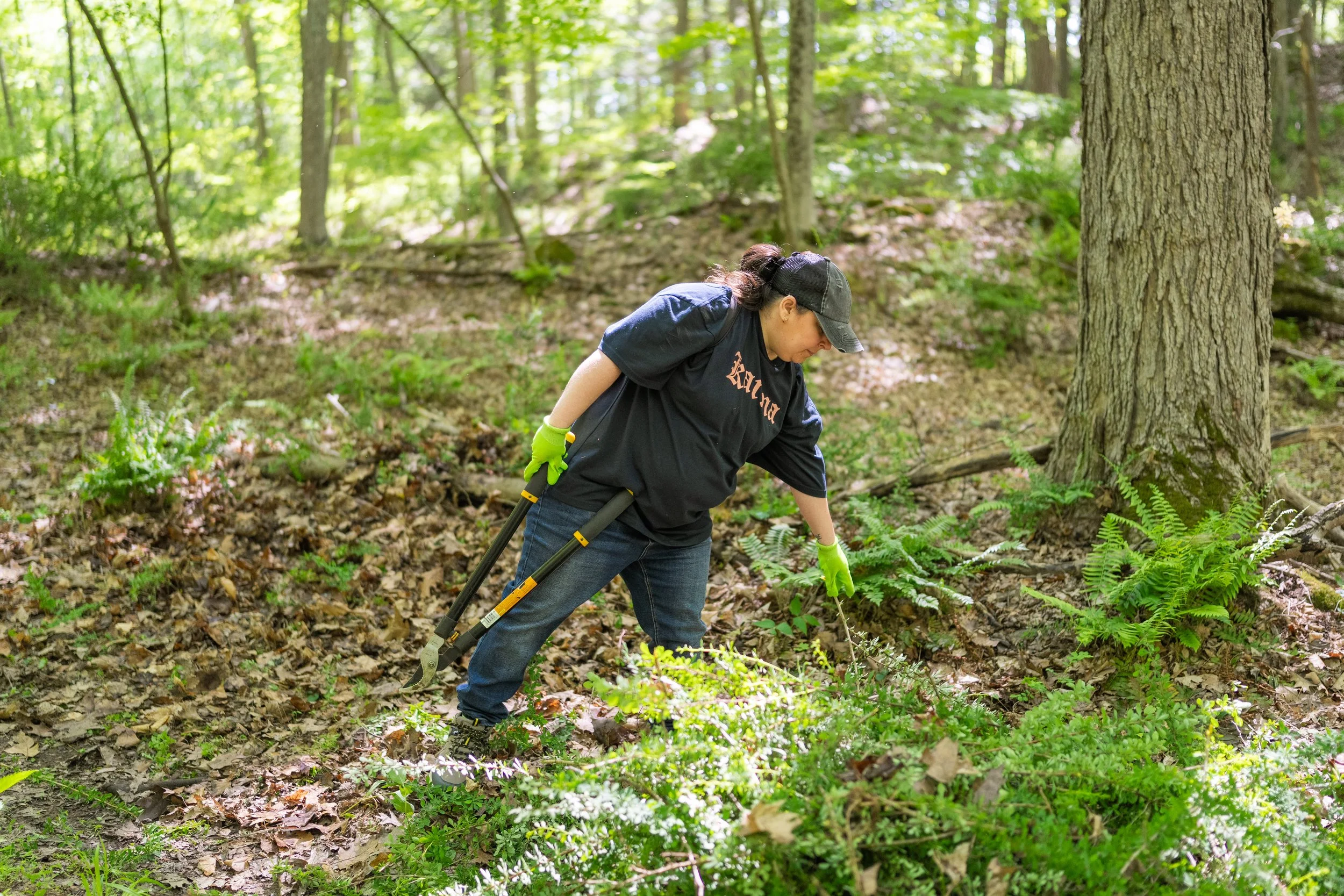 Open Volunteer Day
